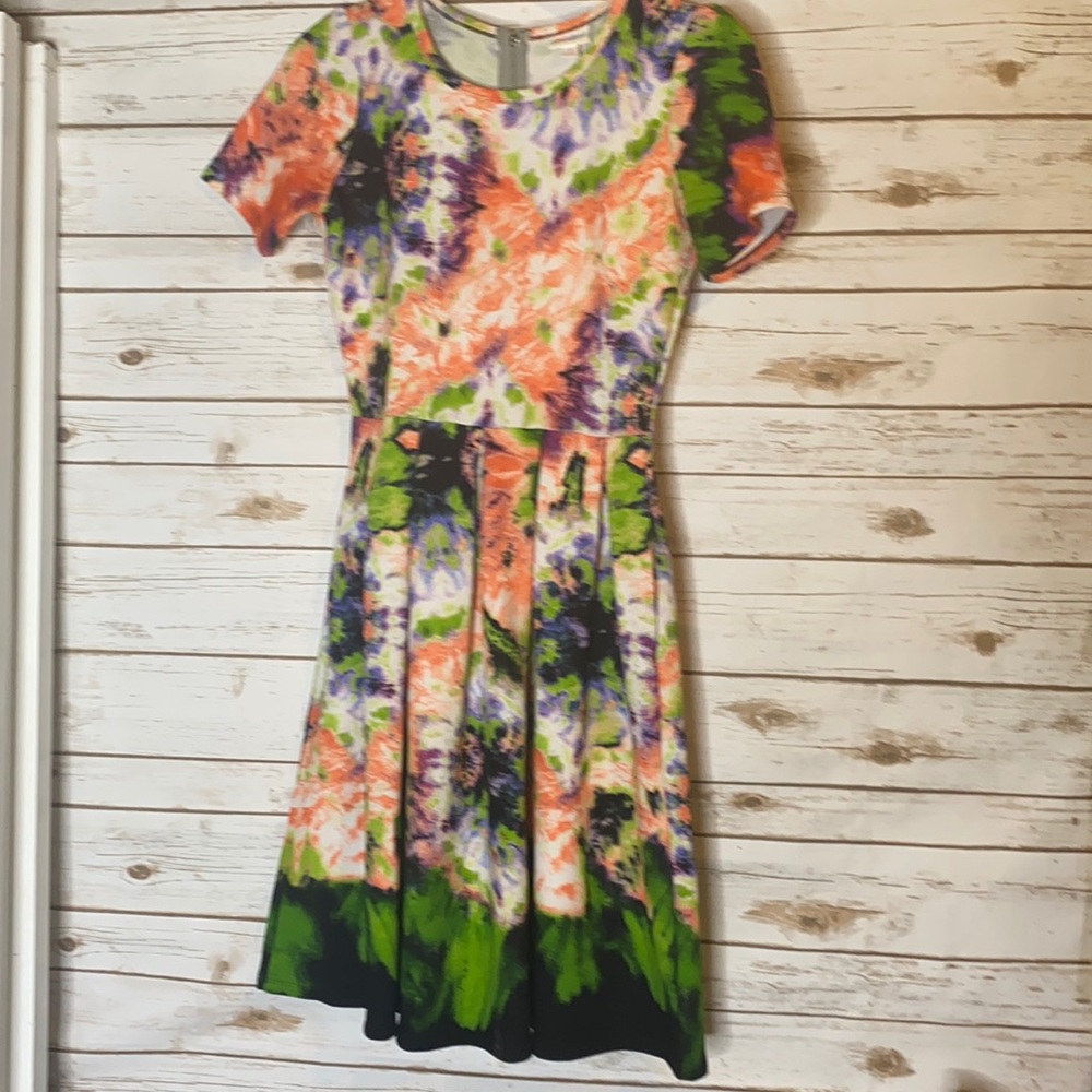 Lularoe Amelia tye dye dress